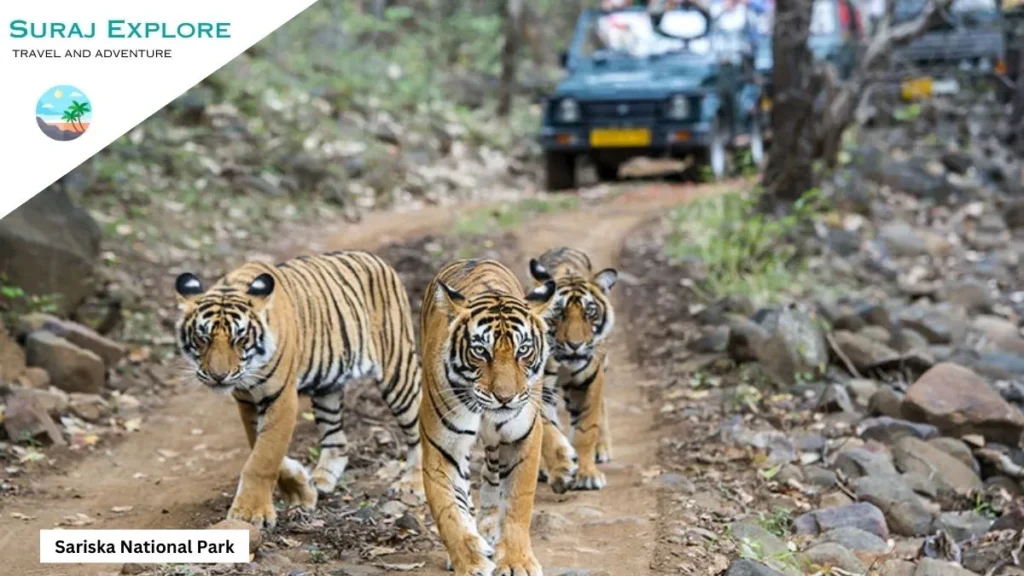 Sariska National Park