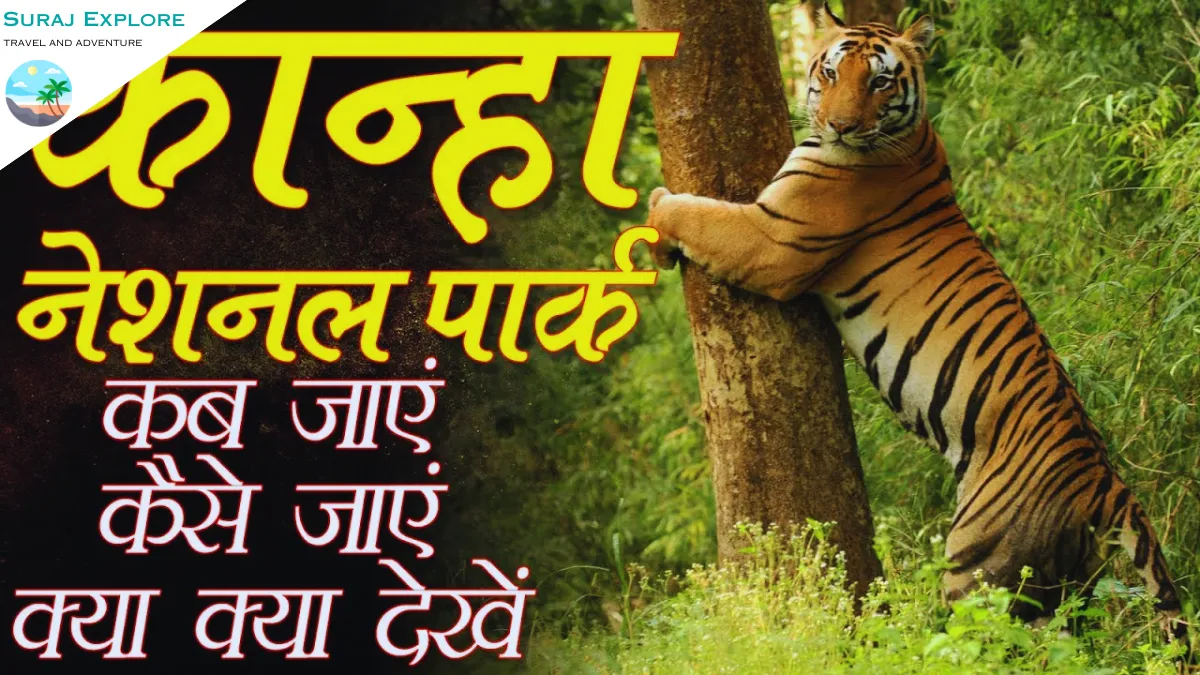 8 Best National Parks in Madhya Pradesh
