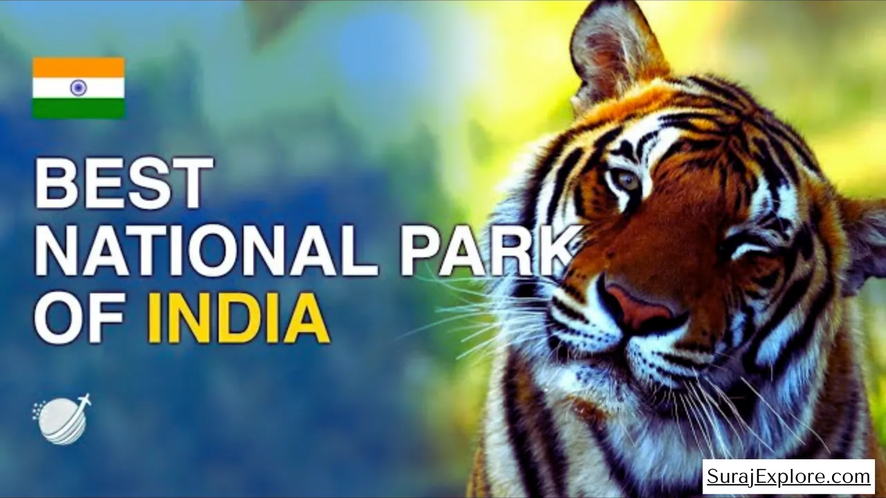 Top Beautiful National Park in India to Visit in Summer 2025